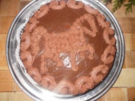 Koník čokoládový