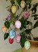 IMG_20230331_101928